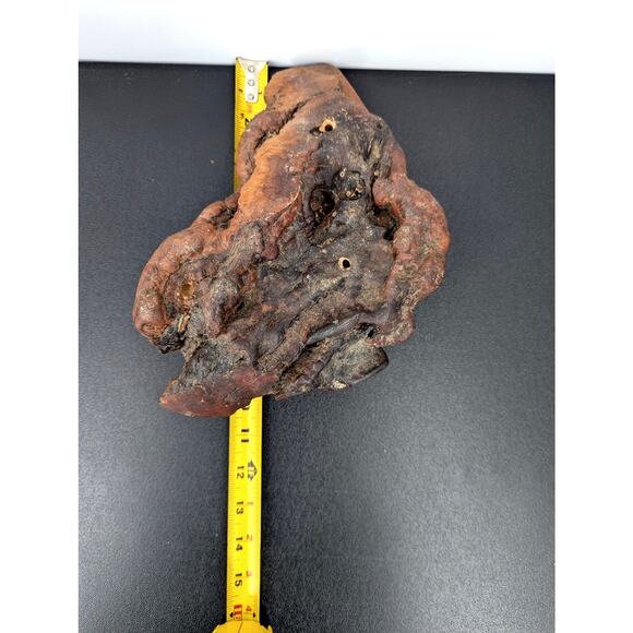 Beautiful Unique Piece of Petrified Wood MCM fossil mineral specimen healing - Picture 15 of 15